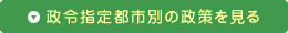 政令指定都市別の政策を見る