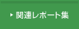 関連レポート集